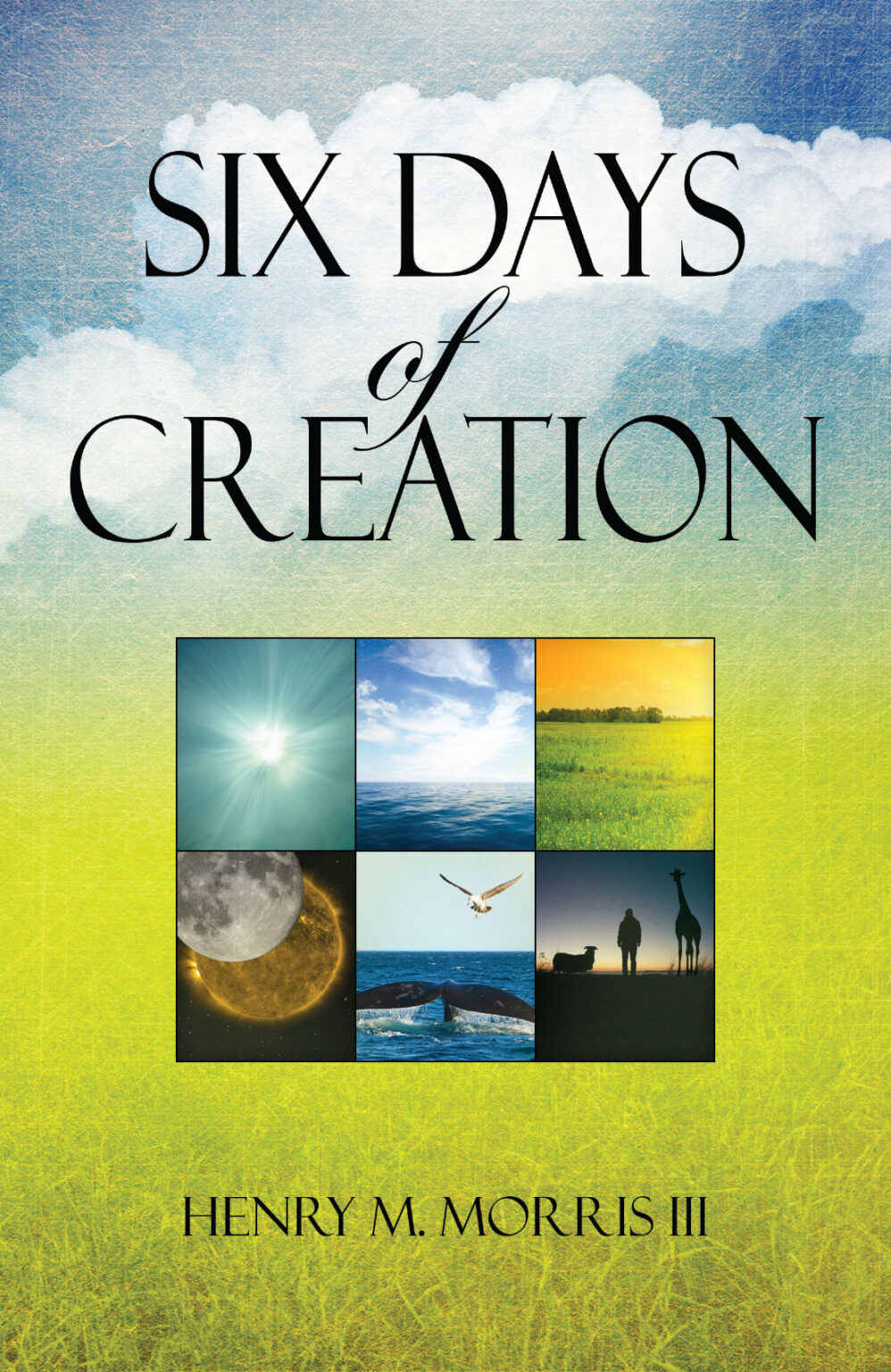 Six Days Of Creation Tomorrow S Forefathers Inc