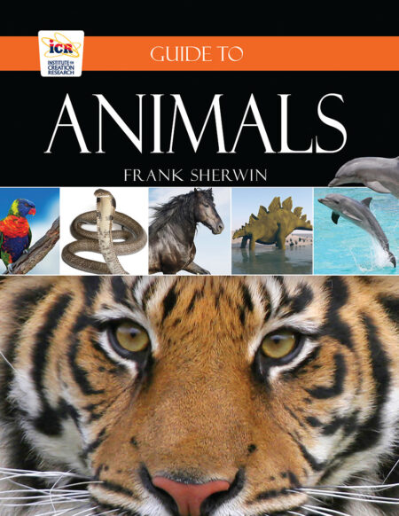 Guide To Animals