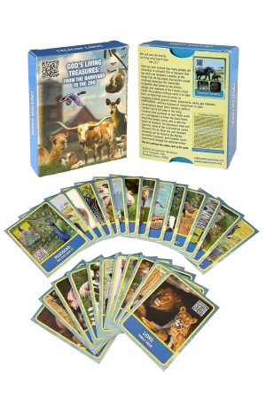 Barnyard to Zoo Creation Cards